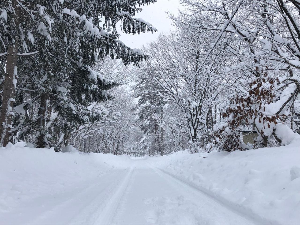 Ryder'S House With Free Use Of 4W Car Villa Hakuba Luaran gambar